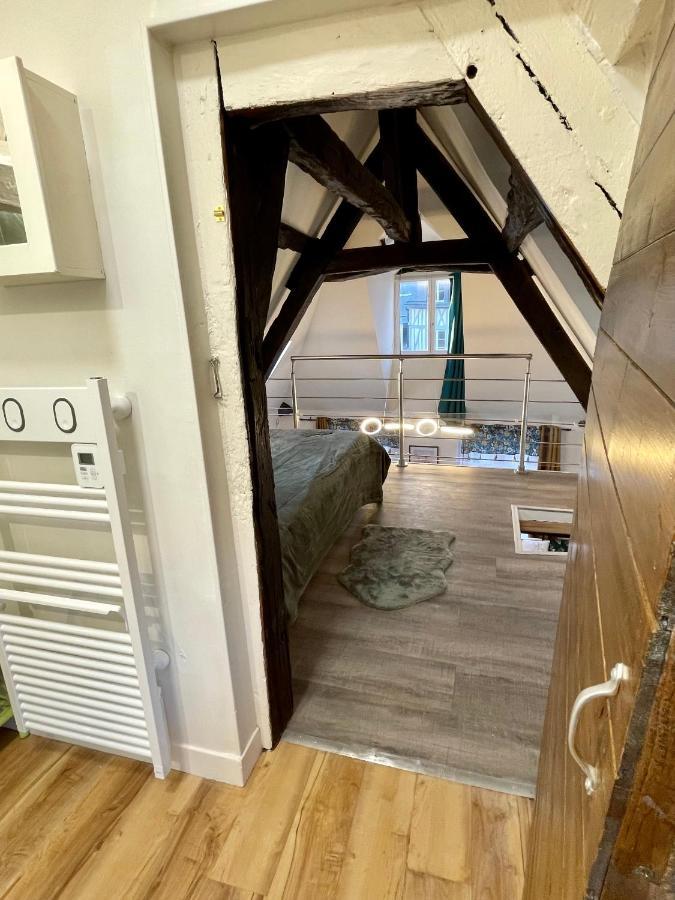 Le 1731, Coeur D'histoire, Superbe Duplex * Rouen