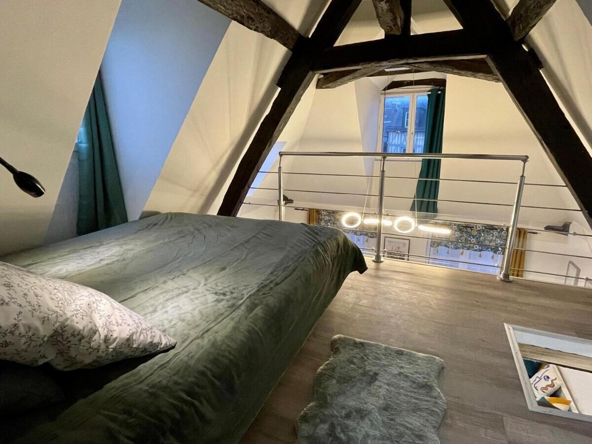Le 1731, Coeur D'histoire, Superbe Duplex Apartment *